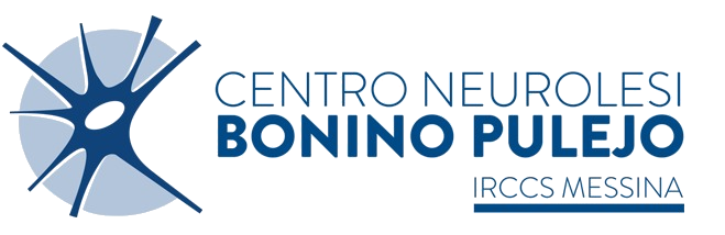 Centro-neurolesi-bonino-pulejo